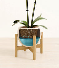 Load image into Gallery viewer, Shiny EggWhite stand:bamboo