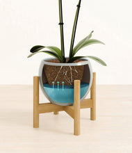 Load image into Gallery viewer, Deep Ocean stand:bamboo