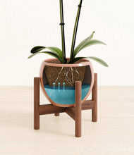 Load image into Gallery viewer, Calm Rose stand:walnut