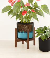 Load image into Gallery viewer, Graphite stand:one_stand