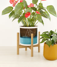 Load image into Gallery viewer, Tiger Lily stand:one_stand