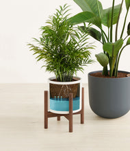 Load image into Gallery viewer, Aloe Vera stand:one_stand