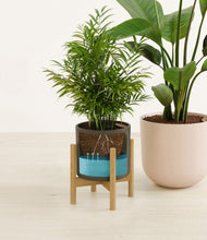 Load image into Gallery viewer, Olive Branch stand:one_stand