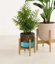 Load image into Gallery viewer, Olive Branch stand:two_stands