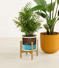 Load image into Gallery viewer, Tiger Lily stand:one_stand