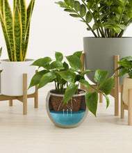 Load image into Gallery viewer, Earthy stand:three_stands