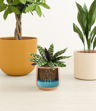 Load image into Gallery viewer, Evening Sky