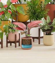 Load image into Gallery viewer, Evening Sky stand:nine_stands