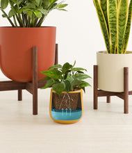 Load image into Gallery viewer, Evening Sky stand:two_stands