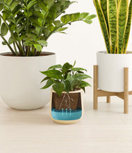 Load image into Gallery viewer, Misty Morning stand:one_stand