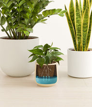 Load image into Gallery viewer, Misty Morning