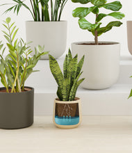 Load image into Gallery viewer, Woodland stand:all