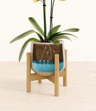 Load image into Gallery viewer, Eternal Gray stand:bamboo