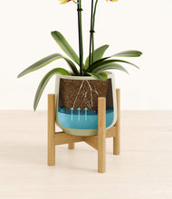 Load image into Gallery viewer, Turquoise stand:bamboo