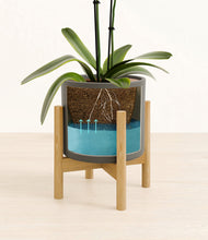 Load image into Gallery viewer, Dark Olive stand:bamboo