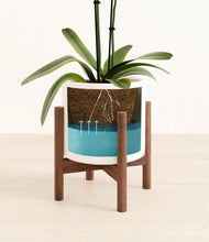 Load image into Gallery viewer, White stand:walnut