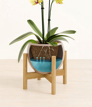 Load image into Gallery viewer, Desert Brown stand:bamboo