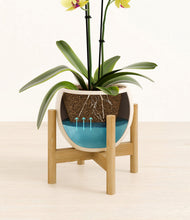 Load image into Gallery viewer, Shiny EggWhite stand:bamboo