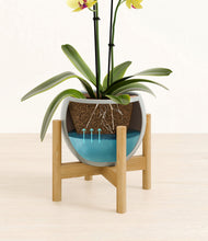 Load image into Gallery viewer, Deep Ocean stand:bamboo