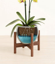 Load image into Gallery viewer, Deep Ocean stand:walnut