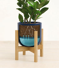 Load image into Gallery viewer, ZZ Plant