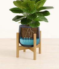 Load image into Gallery viewer, Deep Navy stand:bamboo