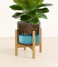 Load image into Gallery viewer, Dark Olive stand:bamboo