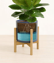 Load image into Gallery viewer, Deep Navy stand:bamboo