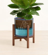 Load image into Gallery viewer, Deep Navy stand:walnut