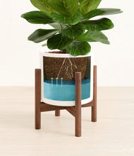 Load image into Gallery viewer, White stand:walnut