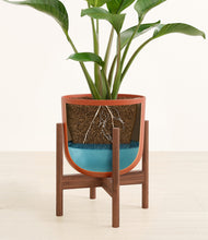 Load image into Gallery viewer, Earth Red stand:walnut