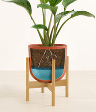 Load image into Gallery viewer, Earth Red stand:bamboo