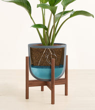 Load image into Gallery viewer, Iron Gray stand:walnut