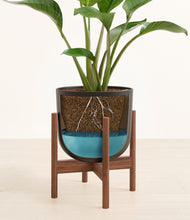 Load image into Gallery viewer, Stone Black stand:walnut