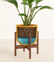 Load image into Gallery viewer, Sunset Orange stand:walnut