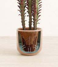 Lade das Bild in den Galerie-Viewer, Hammered Peach Pink stand:all