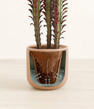 Lade das Bild in den Galerie-Viewer, Striped Peach Pink stand:all