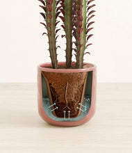 Lade das Bild in den Galerie-Viewer, Hammered Rose Pink stand:all