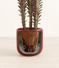 Lade das Bild in den Galerie-Viewer, Striped Cherry Red stand:all