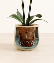Load image into Gallery viewer, Almond Green stand:all