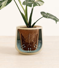 Load image into Gallery viewer, Almond Green stand:all