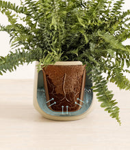 Lade das Bild in den Galerie-Viewer, Almond Green stand:all