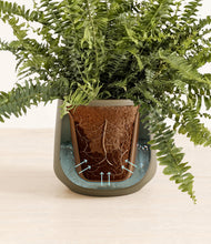 Lade das Bild in den Galerie-Viewer, Olive stand:all
