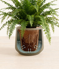 Load image into Gallery viewer, Olive stand:all