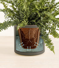 Lade das Bild in den Galerie-Viewer, Dark Olive stand:all