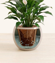 Charger l'image dans la galerie, Desert Brown stand:all