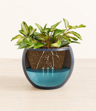 Load image into Gallery viewer, Deep Navy