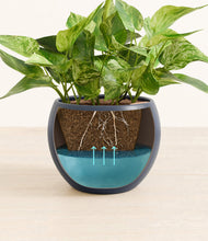 Load image into Gallery viewer, Deep Navy