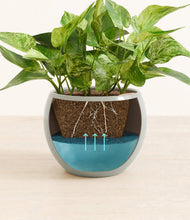 Load image into Gallery viewer, Deep Ocean