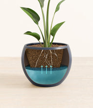 Load image into Gallery viewer, Deep Navy